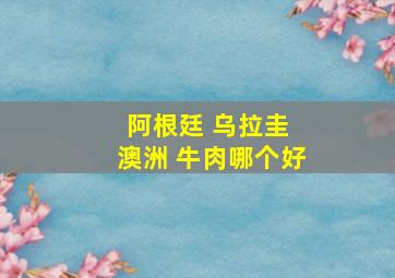 阿根廷 乌拉圭 澳洲 牛肉哪个好